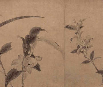 梦见剪白头发,梦到剪白头发好不好? 梦见剪白头发,梦到剪白头发好不好?