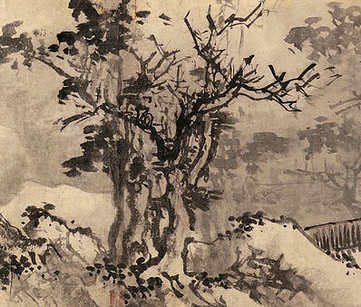 梦见连体蛇,有关连体蛇好不好? 梦见连体蛇,有关连体蛇好不好?