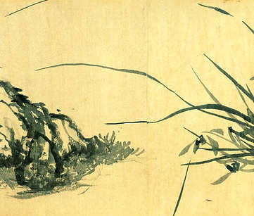 梦见杀死好多狗,梦到杀死好多狗是什么意思? 梦见杀死好多狗,梦到杀死好多狗是什么意思?