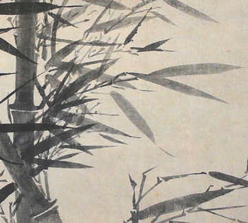梦见菠菜长得茂盛,关于菠菜长得茂盛什么意思? 梦见菠菜长得茂盛,关于菠菜长得茂盛什么意思?