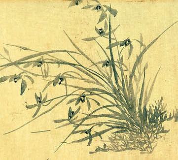 梦见白鹇在飞,解梦白鹇在飞寓意是? 梦见白鹇在飞,解梦白鹇在飞寓意是?