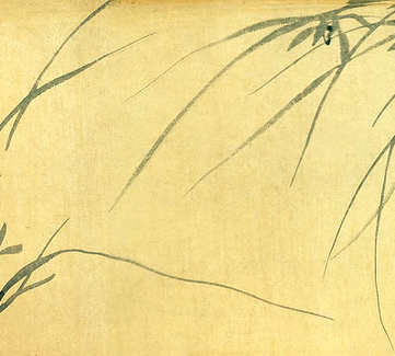 梦见鹌鹑飞走,做梦梦到鹌鹑飞走周公解梦? 梦见鹌鹑飞走,做梦梦到鹌鹑飞走周公解梦?