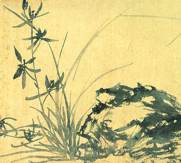 梦见海豹在水里游,有关海豹在水里游为什么? 梦见海豹在水里游,有关海豹在水里游为什么?