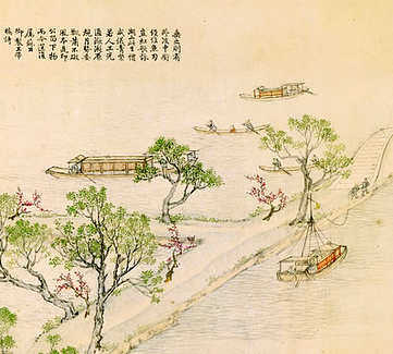 梦见袋鼠,关于袋鼠为啥? 梦见袋鼠,关于袋鼠为啥?