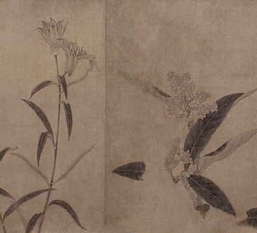 梦见鹰抓鸽子,做梦鹰抓鸽子将要发生? 梦见鹰抓鸽子,做梦鹰抓鸽子将要发生?