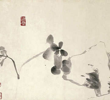 梦见螳螂追我,做梦梦见螳螂追我将来会怎样? 梦见螳螂追我,做梦梦见螳螂追我将来会怎样?
