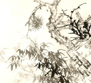 梦见白色的青蛙,有关白色的青蛙会怎么样? 梦见白色的青蛙,有关白色的青蛙会怎么样?