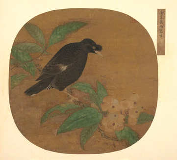 梦见药方 药丸,做梦梦见药方 药丸什么征兆? 梦见药方 药丸,做梦梦见药方 药丸什么征兆?