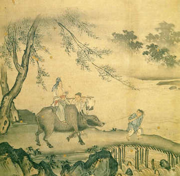 梦见后背长毛,关于后背长毛什么情况? 梦见后背长毛,关于后背长毛什么情况?