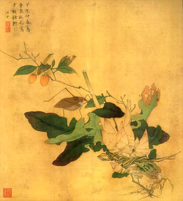 梦见关在笼子里的鹦鹉，做梦梦到关在笼子里的鹦鹉是什么意思？