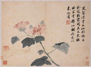 梦见家里有青蛙,关于家里有青蛙后果是? 梦见家里有青蛙,关于家里有青蛙后果是?