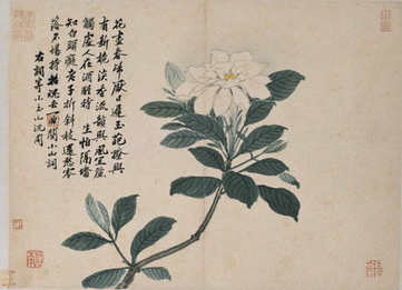 梦见蛇在被子上动,周公解梦蛇在被子上动怎么回事? 梦见蛇在被子上动,周公解梦蛇在被子上动怎么回事?