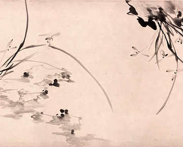 梦见桂花 月桂花,有关桂花 月桂花寓意是? 梦见桂花 月桂花,有关桂花 月桂花寓意是?