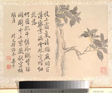 梦见自己是狐狸,解梦自己是狐狸后果是? 梦见自己是狐狸,解梦自己是狐狸后果是?