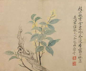 梦见自己是魔术师,梦里自己是魔术师会预示什么? 梦见自己是魔术师,梦里自己是魔术师会预示什么?