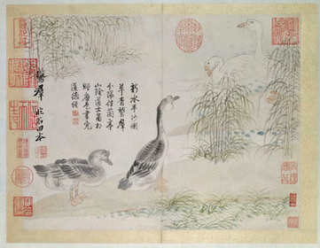 梦见飞虫吃头发,关于飞虫吃头发周公解梦? 梦见飞虫吃头发,关于飞虫吃头发周公解梦?