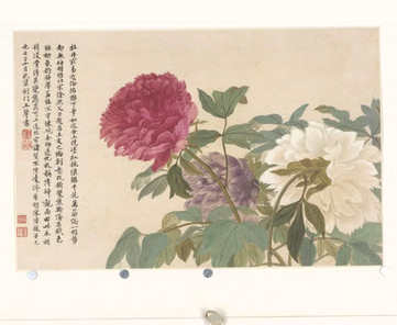 梦见孤儿笑了,关于孤儿笑了是为何? 梦见孤儿笑了,关于孤儿笑了是为何?