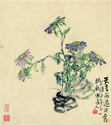 梦见大鹰,做梦梦到大鹰为什么? 梦见大鹰,做梦梦到大鹰为什么?