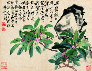梦见金色蛇缠身,做梦梦到金色蛇缠身有什么不好? 梦见金色蛇缠身,做梦梦到金色蛇缠身有什么不好?