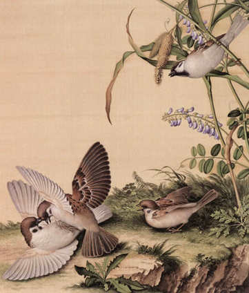 梦见在地里拉屎,梦里在地里拉屎好不好? 梦见在地里拉屎,梦里在地里拉屎好不好?