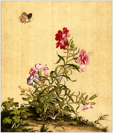 梦见野猫摔死了,做梦梦到野猫摔死了好吗? 梦见野猫摔死了,做梦梦到野猫摔死了好吗?