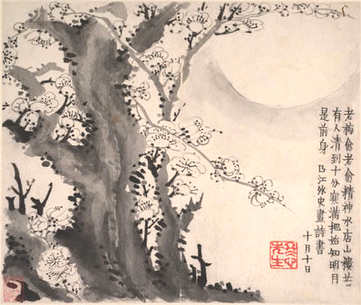 梦见雨进屋,做梦雨进屋怎么回事? 梦见雨进屋,做梦雨进屋怎么回事?