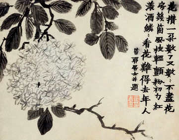 梦见豹子和狮子,解梦豹子和狮子怎样解梦? 梦见豹子和狮子,解梦豹子和狮子怎样解梦?