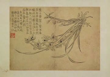 梦见蟾蜍咬人,周公解梦蟾蜍咬人会怎样? 梦见蟾蜍咬人,周公解梦蟾蜍咬人会怎样?
