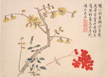 梦见挤死虱子,梦到挤死虱子算命? 梦见挤死虱子,梦到挤死虱子算命?