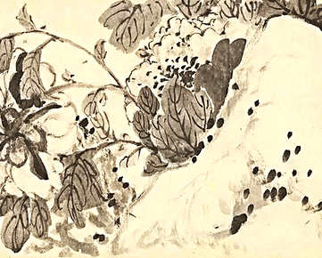 梦见乌龟飞,有关乌龟飞好不好? 梦见乌龟飞,有关乌龟飞好不好?