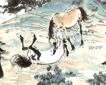 梦见秃鹰攻击人,梦里秃鹰攻击人啥感觉? 梦见秃鹰攻击人,梦里秃鹰攻击人啥感觉?