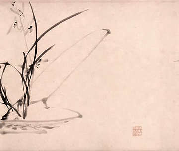 梦见生发,做梦梦见生发含义是? 梦见生发,做梦梦见生发含义是?