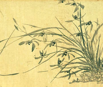 梦见小蜜蜂,做梦梦见小蜜蜂要注意什么? 梦见小蜜蜂,做梦梦见小蜜蜂要注意什么?