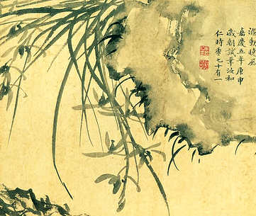梦见被乌龟追着咬,梦到被乌龟追着咬周公解梦? 梦见被乌龟追着咬,梦到被乌龟追着咬周公解梦?