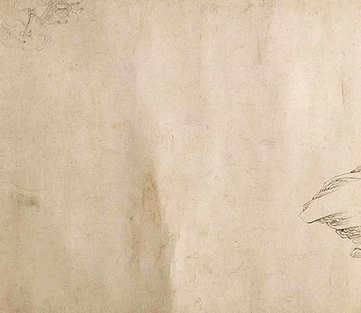 梦见蛇大腿,做梦梦见蛇大腿会怎样? 梦见蛇大腿,做梦梦见蛇大腿会怎样?